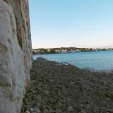 Immagine di Laerte Salvini